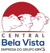 Central Bela Vista